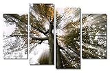 画像Sensations Framedキャンバスアートプリント 4 Panel - 48"X32" A090-4P