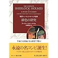 緋色の研究 新訳シャーロック・ホームズ全集 (光文社文庫)