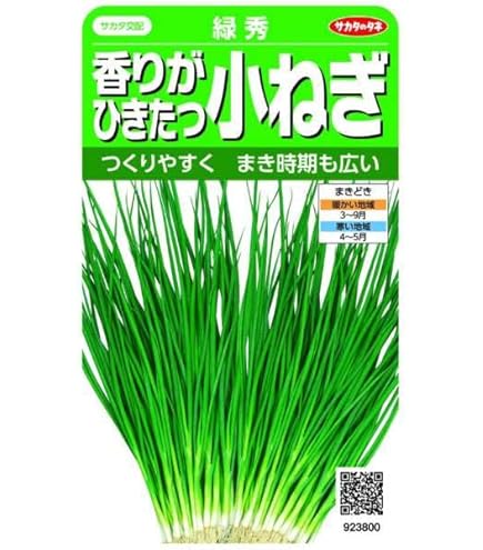 Amazon.co.jp: ネギ 種 【 細ねぎ 】 種子 小袋（約15ml） : DIY
