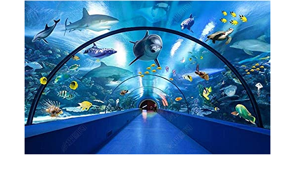 Amazon リビング機器カスタム写真壁紙水族館イルカガラストンネル壁壁画壁紙寝室用リビングルーム壁壁画テレビ背景家の装飾400x280cm Ftfto スツール