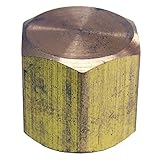 LASCO 17-9143 1/8-Inch Female Pipe Thread Brass Cap [並行輸入品]