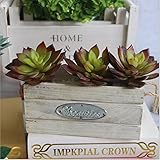 Lorny(TM) シミュレーション多肉植物ロータスLithops造花の飾りミニグリーン人工多肉植物植物ガーデンデコレーションD56