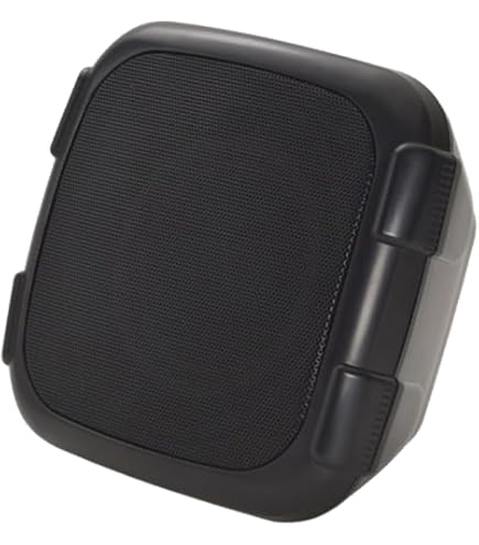 Amazon.co.jp: オースミ電機 （ MASSIVE ） 天井埋め込み型スピーカー