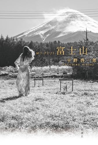 平野啓一郎:富士山