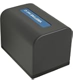 ソニーNP-FV100AバッテリーFDR-AX45A対応