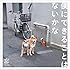 僕にできることはないかな(初回限定盤)