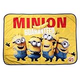 ミニオン ブランケット 両面フリースブランケット ひざ掛け 100×70cm PVCバッグ入り ＋ ミニオンミニタオル (A（3Dタイプ）)