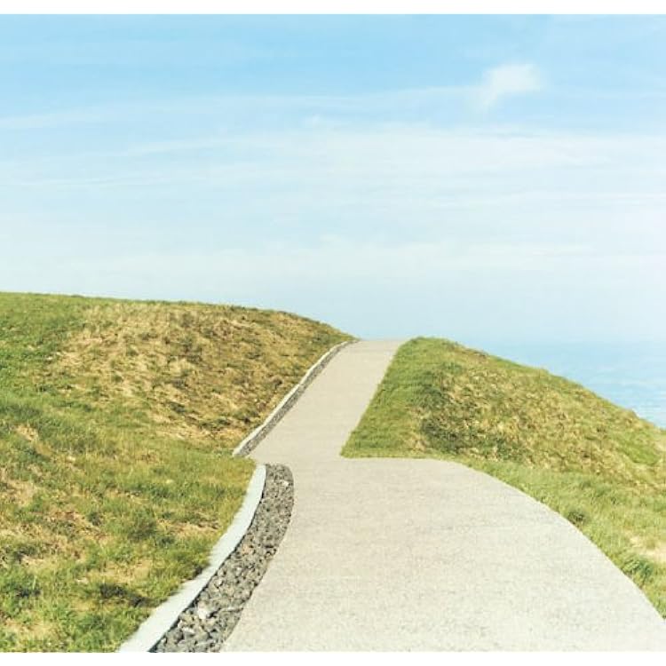 Amazon.co.jp: 明るい幻 - キセル: ミュージック