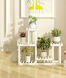 花スタンド屋内 花の棚マルチ階建ての屋内バルコニーリビングルームのフロアラック木質肉の花の鍋の棚 (色 : 5*)