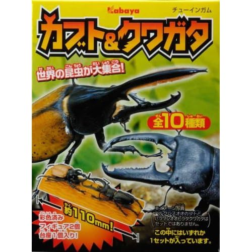 カバヤ カブト＆クワガタ