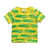 Haggai 少年少女は、綿毛のtシャツで夏の子供たちを4 - 6tにしました (18M)