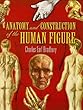 Anatomy and Construction of the Human Figure (Dover Art Instruction)