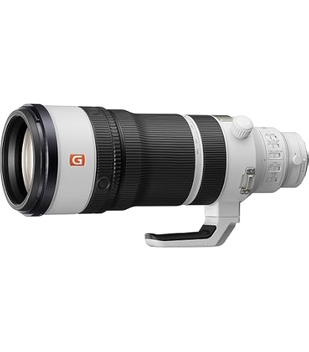 SONY FE 300mm F2.8 GM OSS フルサイズ望遠単焦点レンズ