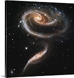 プリントコレクションプレミアムシックラップキャンバス壁アート印刷題名A Rose Made of GalaxiesハイライトHubble 's 21st記念 24" x 24" 2177974_24_