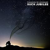 Such Jubilee -Lp+CD- [Analog]