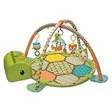Infantino Go GaGa Activity Gym & Shape Sorting Ball Pit [並行輸入品]