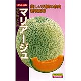 メロン 種 【 マリアージュ 】 種子 小袋（約6粒）