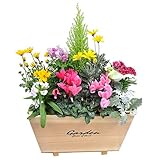 ハンドメイドのウッドポット　季節の寄せ植え　杉（ナチュラル）　厚さ10mmの杉板の丈夫なウッドポット　脚付き（ハンドメイドのため数量限定）