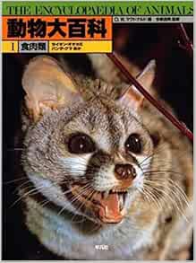 動物大百科 1 日本語 大型本 1986 3 1