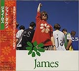 シット・ダウン