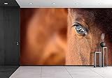 wall26 - 粘着壁紙 大きな壁画シリーズ 100"x144" WMR-WP-X-D136-100x24x6