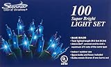 Sienna 100 Add-A-Set Bulb, Blue-Color Indoor/Outdoor String Lights [並行輸入品]