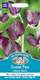 MFFL 英国ミスターフォザーギルズシード Sweet Pea Almost Black スイート・ピー・オールモースト・ブラック