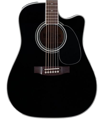 Amazon | Takamine DMP561C BL エレアコ | エレアコギター | 楽器