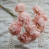 ~Coco Heart~　ソーラーローズ　エンジェルピンク　10本セット(大地農園）　（リース・木の実・ドライフラワー）