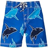 GYMBOREE(ジンボリー) シャークボード ショーツ シャーク ブルー 水着 12～18ヶ月【並行輸入】