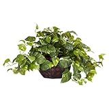 Nearly Natural 6681 Pothos with Vase Decorative Silk Plant, Green by Nearly Natural