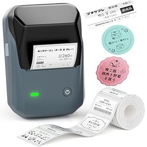 NIIMBOT B1 ラベルメーカー ラベルプリンター 感熱 Bluetooth ポータブル Android/iOS対応 (ラベル用紙付属) ブルー