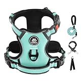 IVY&LANE 引っ張り防止犬用ハーネスリーシュセット付き、反射性ノーチョークペットベスト、調節可能なオックスフォード犬用ベストハーネス 簡単コントロールハンドル付き 大型犬用(ターコイズ、XL)