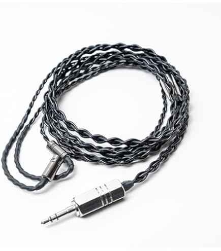 Amazon | 【e☆イヤホンオリジナル】e☆イヤホン・ラボ Obsidian GeN2