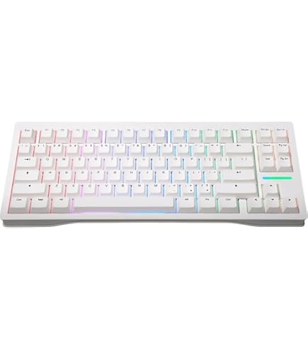 Amazon | Wooting 80HE Linear60 v2 英語配列 US-ANSI ラピッド