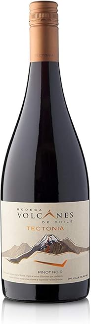 【濃縮したブラックベリーを思わせる味わい】ボルカネス テクトニア ピノノワール 750ml [ 2014 赤ワイン フルボディ チリ ]