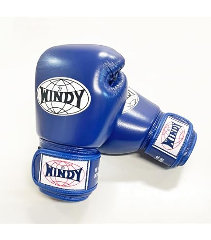 Amazon | (410ml, Black) - Windy Muay Thai Training Gloves