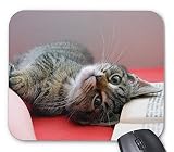 可愛い猫のマウスパッド：フォトパッド（世界の猫シリーズ） (D)