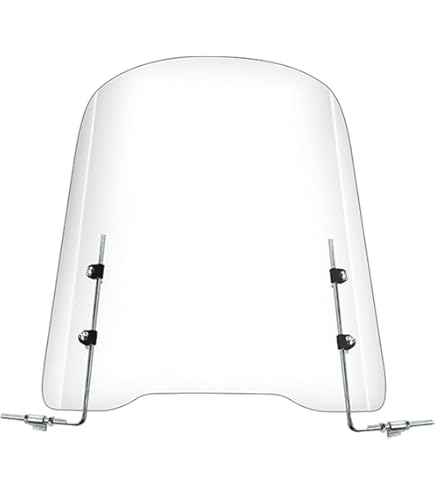 Puig レーシングスクリーン クリア ZX-10R プーチ プーチ(Puig) レーシングスクリーン クリア ZX-10R 16- 8912W