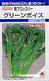 【種子】茎ブロッコリー　グリーンボイス　タキイ種苗　野菜