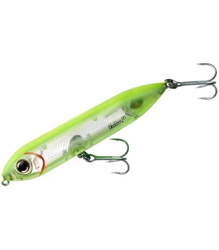 Amazon.co.jp: Heddon ソルトウォータースーパースプークJr - 3パック