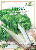 野菜の種 スイスチャード・ビオンダ