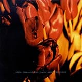 Strangely Isolated Place [12 inch Analog]