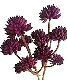 meiliy 6ヘッド人工ビニールSucculentホームホテルオフィスウェディングパーティーガーデンクラフトアート装飾、2 Bunches パープル