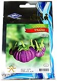 【期限切れアウトレット】紫変形ナス Round Eggplant Makhuea pro マクアプロ タネ 種子 タイの野菜 約1g CHIA THAI