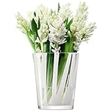 LSA CIRRO フラワーベース(花器) 高さ18.5cm ホワイト    TLA2127
