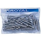 ロイヤル 木下地専用Aタッピング 50mm クローム 1パック50本入 AT-P