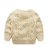 Star Baby 冬に子供服の男児新型無地Tカジュアルセーター赤ちゃん中小童修身百搭保温ニット/セーター/大ヒット/大人気 (100CM, Beige)