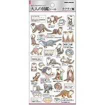 Amazon | カミオジャパン シール 大人の図鑑シール ウサギ 226329