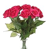 Louis Garden 保湿な手触りのバラ (12, Rose Red)